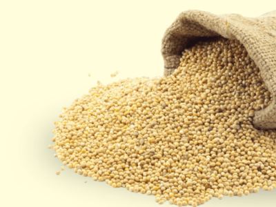 Untitled design (31)